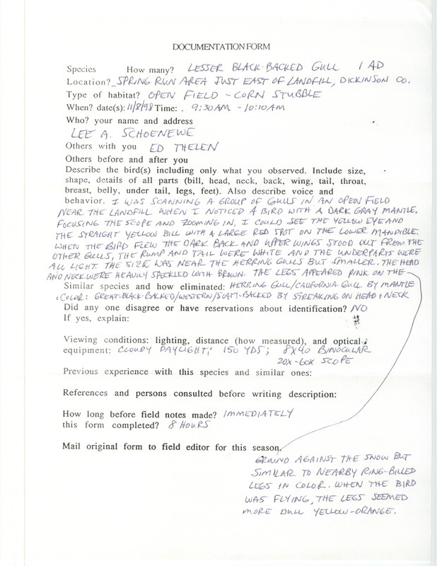 Rare bird documentation form for a Lesser Black-backed Gull at Spring Run Wetland Area--Lair Tract in Dickinson County, IA on November 8, 1998.