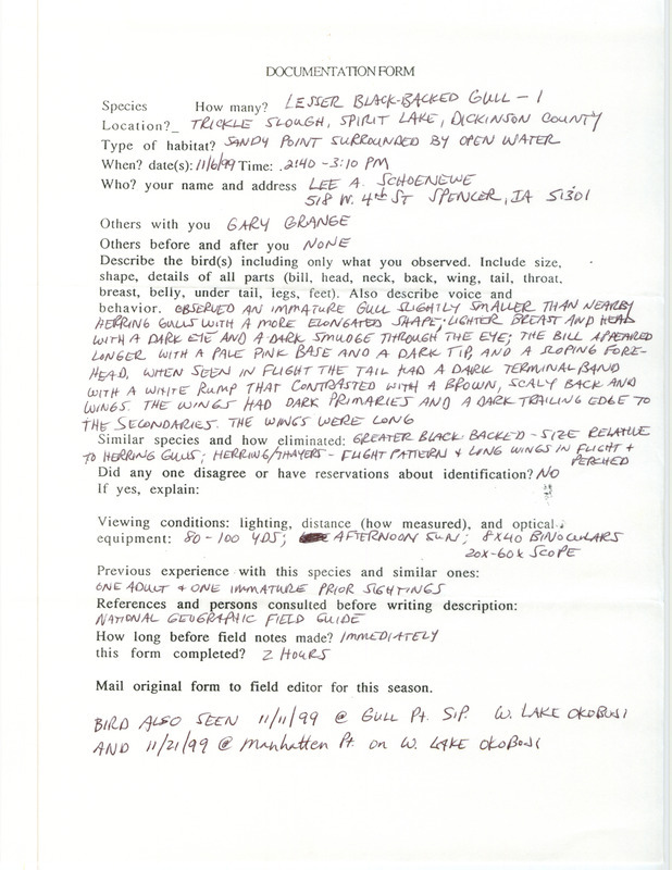 Rare bird documentation form for a Lesser Black-backed Gull at Trickle Slough at Spirit Lake in Dickinson County, IA on November 6, 1999.