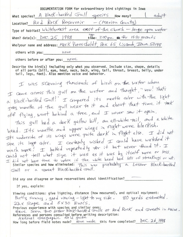 Rare bird documentation form for a Black-backed Gull species at Red Rock Reservoir in Marion County, IA on December 25, 1998.