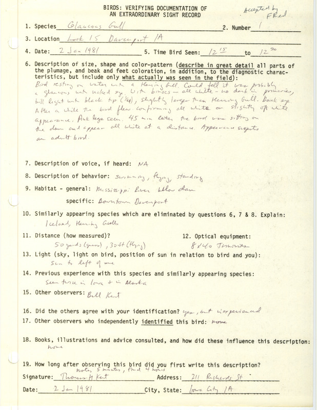 Rare bird documentation form for a Glaucous Gull at Lock and Dam 15 at Davenport in Scott County, IA on January 2, 1981.