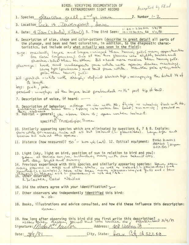 Rare bird documentation form for one to two Glaucous Gulls at Lock and Dam 14 near Davenport on January 4 and one on January 11, 1981.