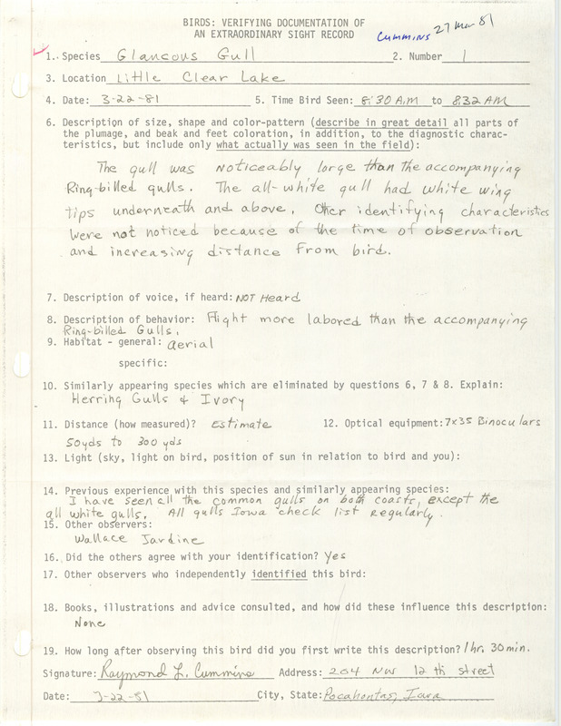 Rare bird documentation form for a Glaucous Gull at Little Clear Lake in Pocahontas County, IA on March 22, 1981.