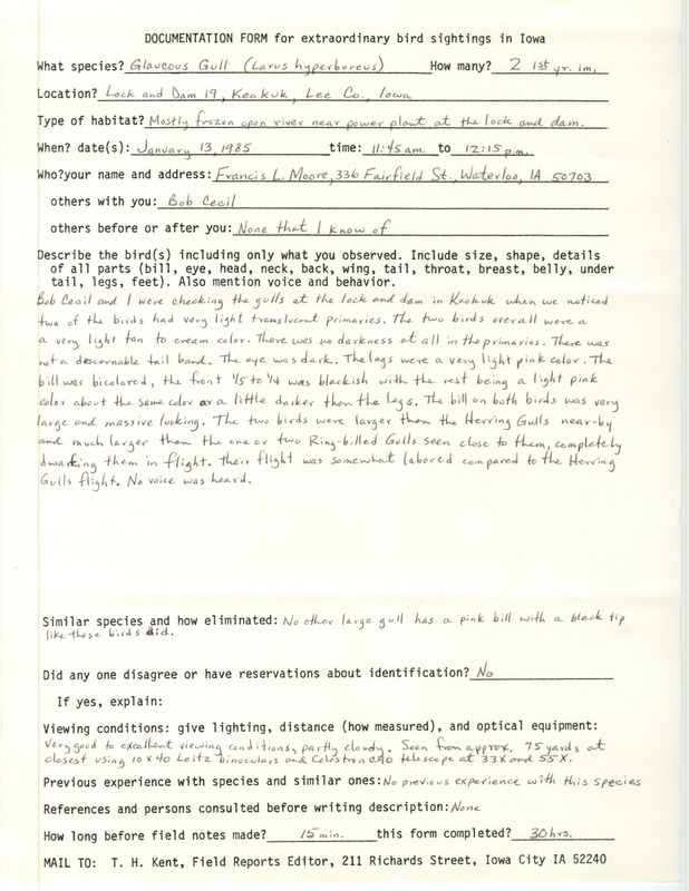 Rare bird documentation form for two Glaucous Gulls at Lock and Dam 19 near Keokuk in January 13, 1985.