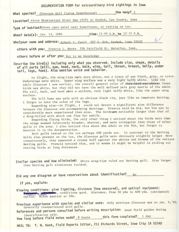 Rare bird documentation form for two Glaucous Gulls at Lock and Dam 19 near Keokuk in Lee County, IA on January 13, 1985.