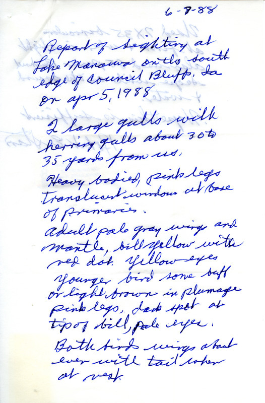 Field notes by Robert E. Starr for two Glaucous Gulls at Lake Manawa in Pottawattamie County on April 5, 1988 recorded on June 7, 1988. Included with the field notes is a "Notes from Nature" article by Ruth C. Green published in A Birds Eye View, volume 16, number 5, May 1988, that discusses Starr's sighting among others.