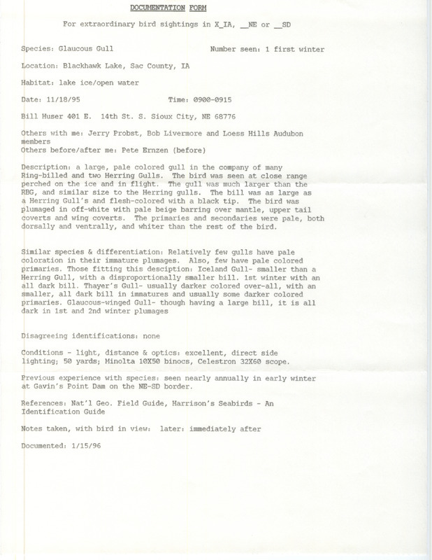 Rare bird documentation form for a Glaucous Gull at Black Hawk Lake in Sac County, IA on November 18, 1995.