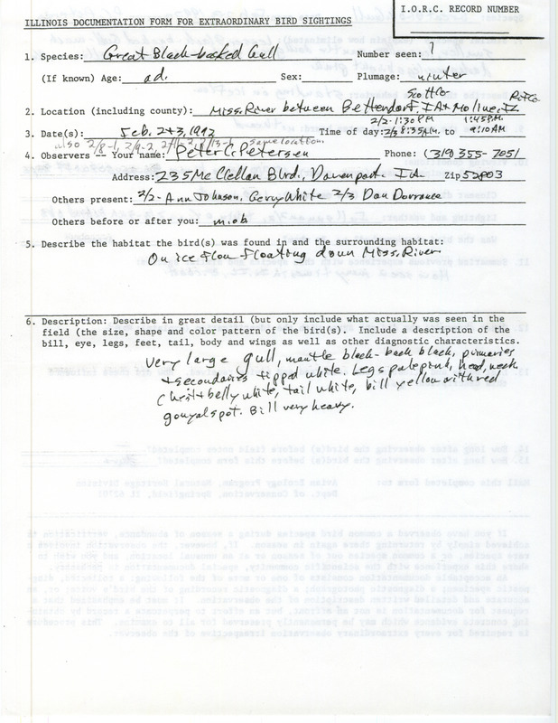 Rare bird documentation form for a Great Black-backed Gull at the Mississippi River between Bettendorf, IA and Moline, IL on February 2 and 3, 1992.