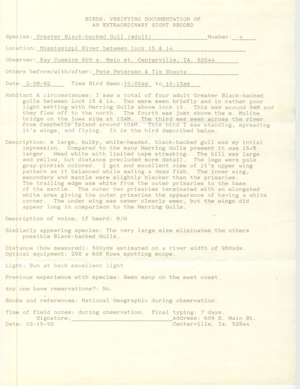 Rare bird documentation form for four Greater Black-backed Gulls between Lock and Dam 15 and Lock and Dam 14 in Scott County, IA on February 8, 1992.