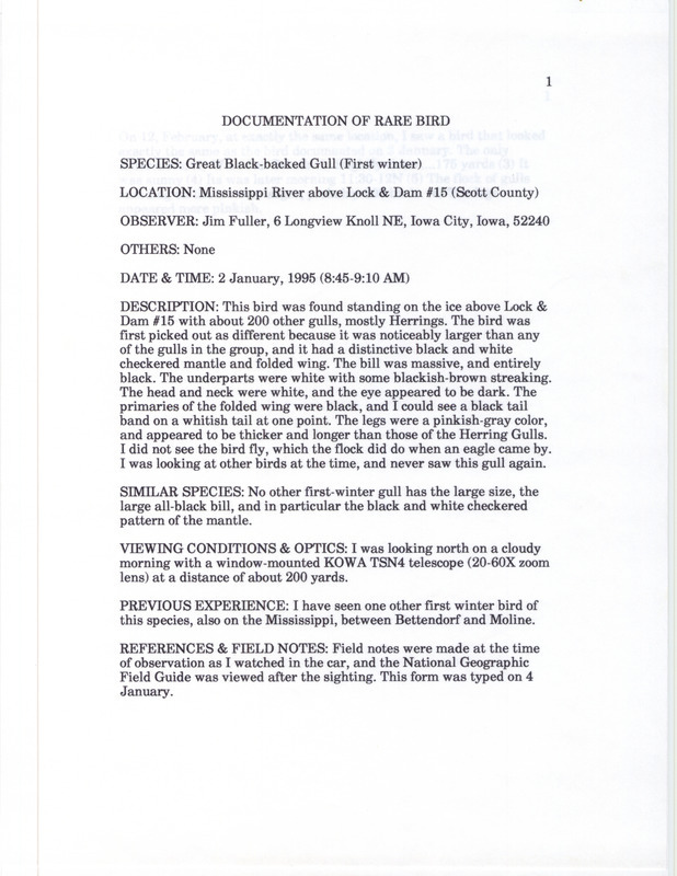 Rare bird documentation form for a Great Black-backed Gull at Lock and Dam 15 in Scott County, IA on January 2, 1995.