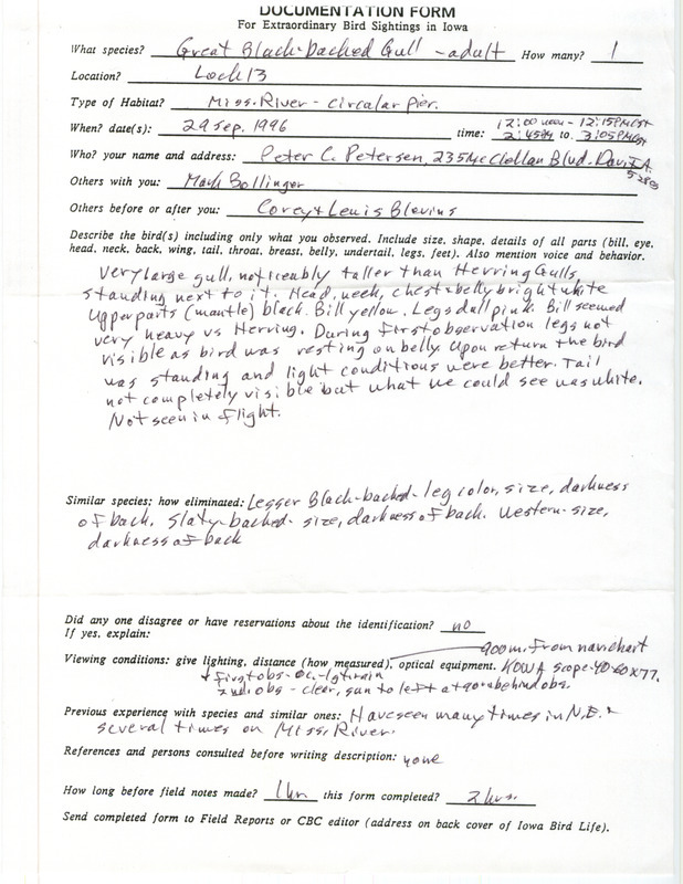 Rare bird documentation form for a Great Black-backed Gull at Lock and Dam 13 in Clinton County, IA on September 29, 1996.