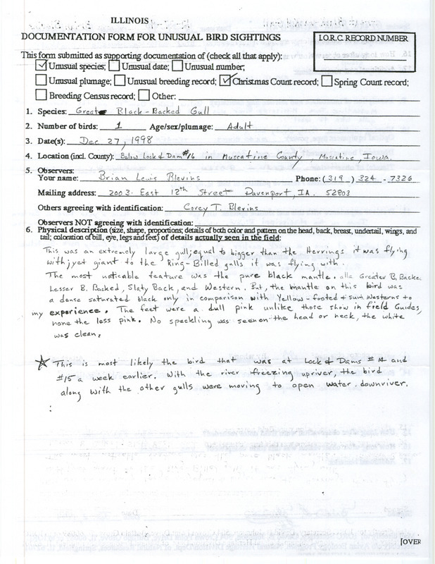 Rare bird documentation form for a Great Black-backed Gull at Lock and Dam 16 in Muscatine County, IA on December 27, 1998.