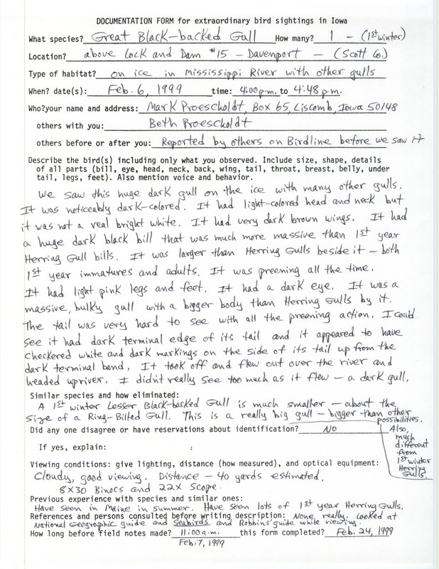 Rare bird documentation form for a Great Black-backed Gull at Lock and Dam 15 in Scott County, IA on February 6, 1999.