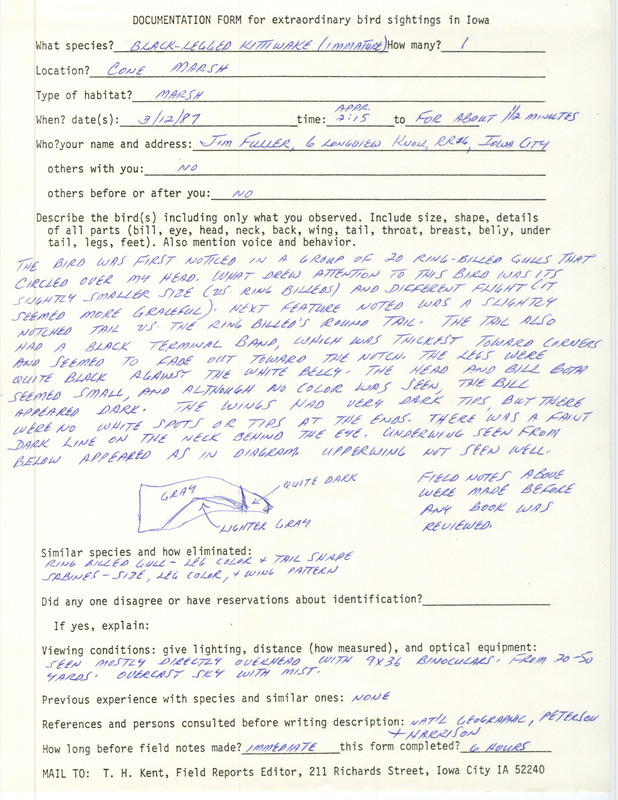 Rare bird documentation form for a Black-legged Kittiwake at Cone March in Louisa County, IA on March 12, 1987.