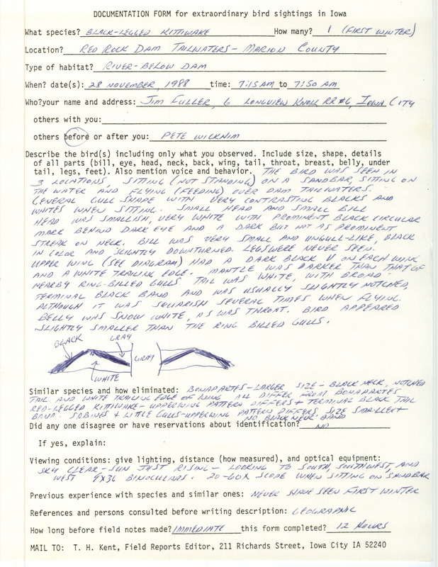 Rare bird documentation form for a Black-legged Kittiwake at Red Rock Dam in Marion County, IA on November 28, 1988.