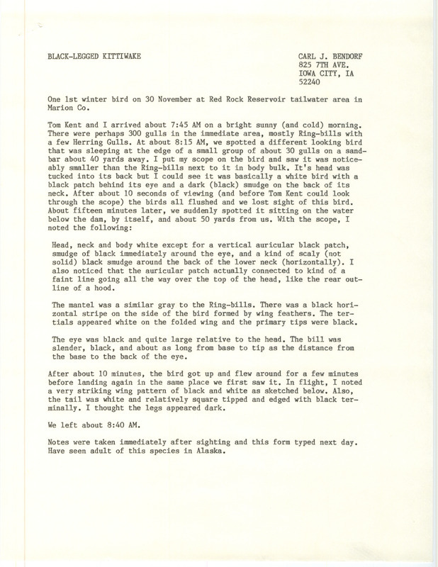 Rare bird documentation form for a Black-legged Kittiwake at Red Rock Reservoir in Marion County, IA on November 30, 1988.