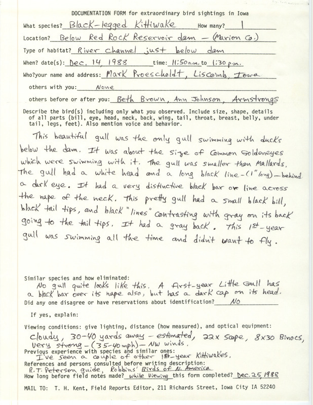 Rare bird documentation form for a Black-legged Kittiwake at Red Rock Dam in Marion County, IA on December 14, 1988.