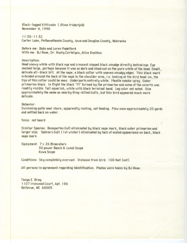 Rare bird documentation form for a Black-legged Kittiwake at Carter Lake in Pottawattamie County, IA on November 4, 1990.