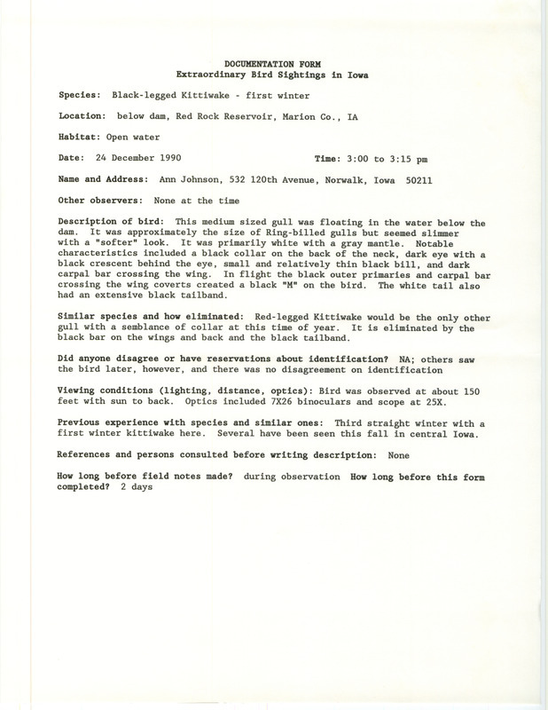 Rare bird documentation form for a Black-legged Kittiwake at Red Rock Dam in Marion County, IA on December 24, 1990.