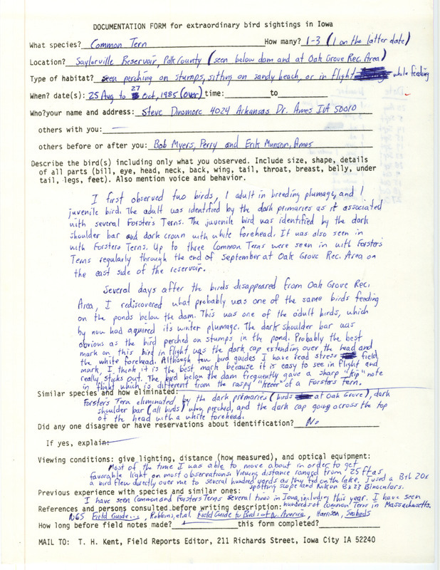 Rare bird documentation form for one to three Common Terns at Saylorville Reservoir in Polk County, IA from August 25 to October 27, 1985. Specific locations of some of the sightings include Saylorville Dam and Oak Grove Recreation Area within Saylorville Reservoir.