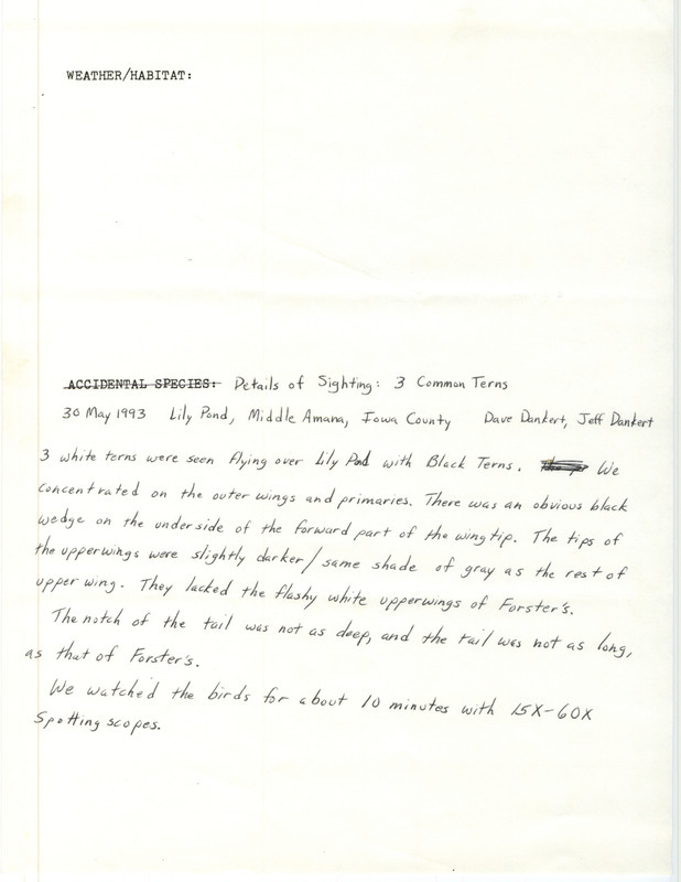 Rare bird documentation form for three Common Terns at Lily Pond at the Amana Colonies in Iowa County, IA on May 30, 1993.