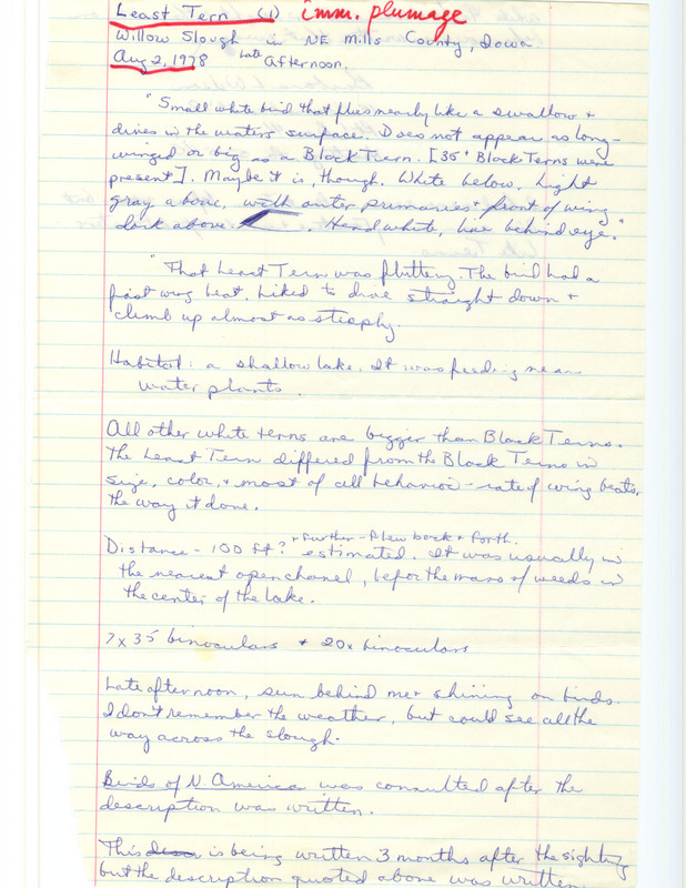 Rare bird documentation form for a Least Tern at Willow Slough in Mills County, IA on August 2, 1978.