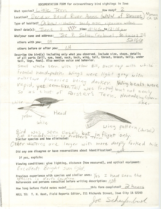 Rare bird documentation form for two Little Terns at Decatur Bend River Access in Monona County, IA on June 3, 1982.