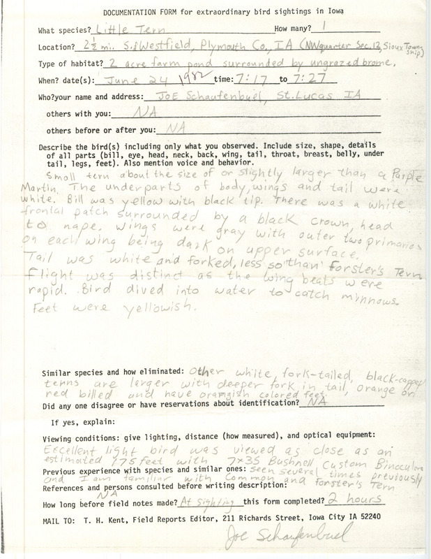 Rare bird documentation form for a Little Tern south of Westfield in Plymouth County, IA on June 24, 1982.