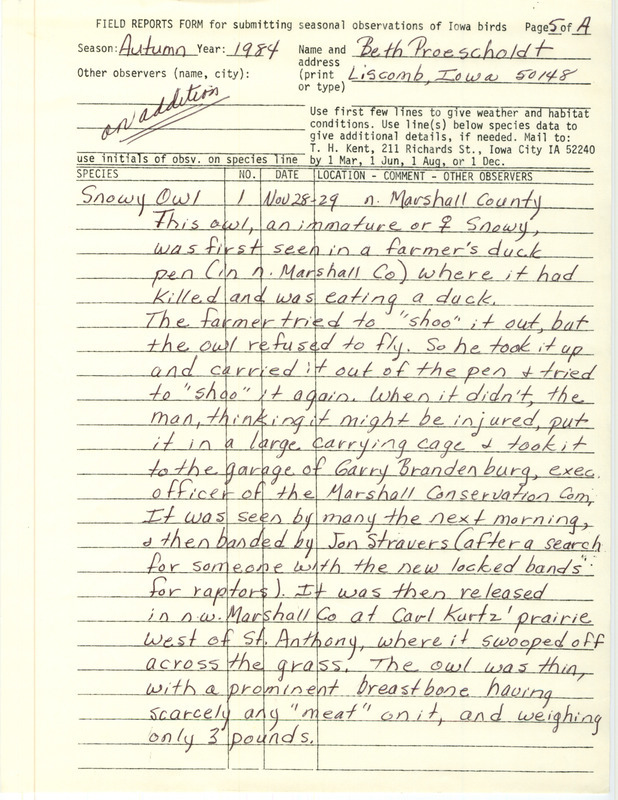 Rare bird documentation form for a Snowy Owl in North Marshall County, IA on November 28--29, 1984.