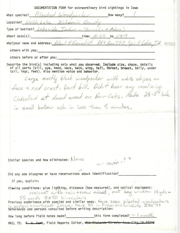 Rare bird documentation form for a Pileated Woodpecker at Welch Lake in Dickinson County, IA on unknown date.