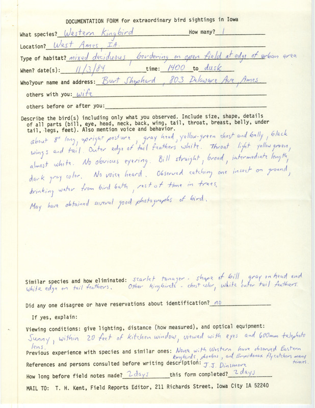 Rare bird documentation form for a Western Kingbird at West Ames in Story County, IA on November 3, 1984.