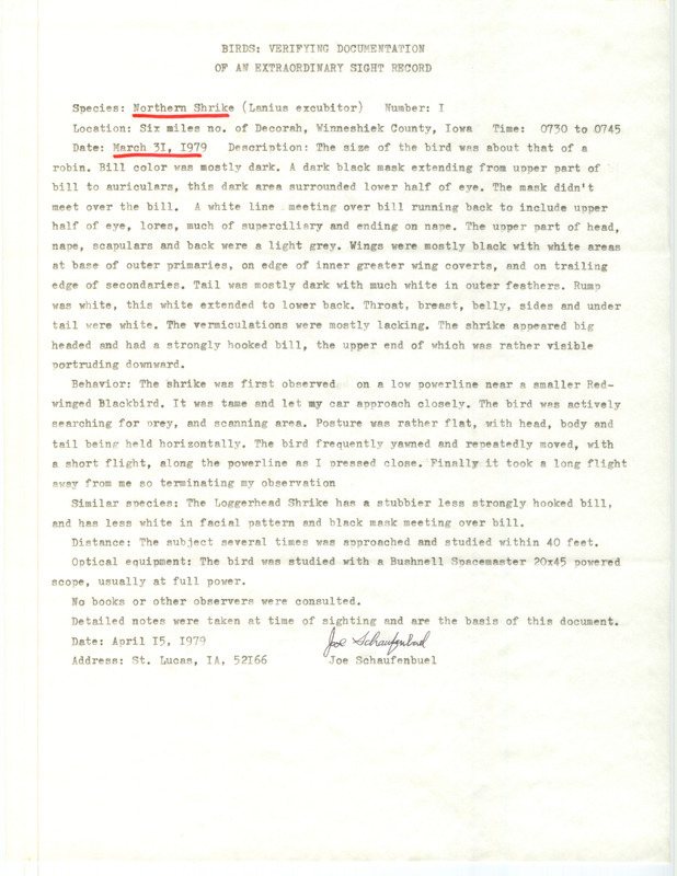 Rare bird documentation form for a Northern Shrike north of Decorah in Winneshiek County, IA on March 31, 1979.