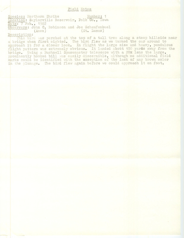 Rare bird documentation form for a Northern Shrike at Saylorville Reservoir in Polk County, IA on February 7, 1982.