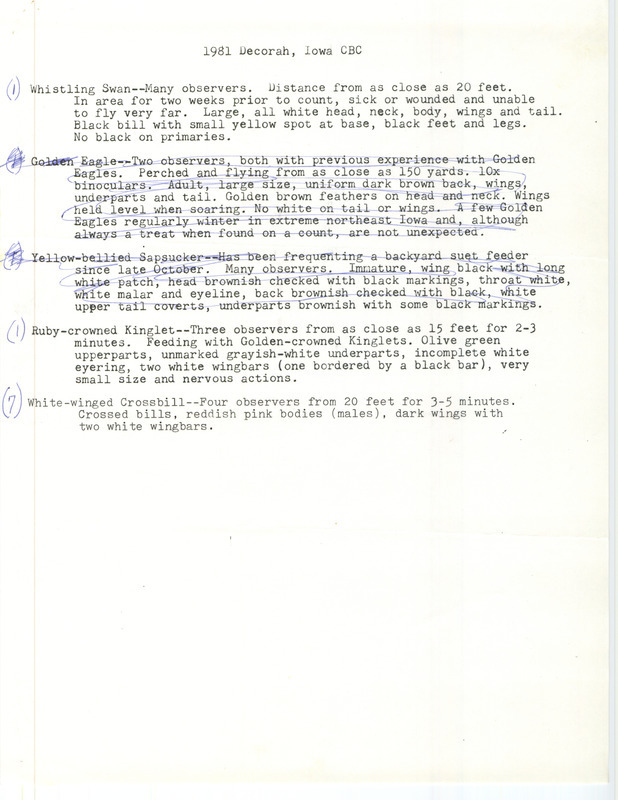 Field notes documenting the sighting of a Ruby-crowned Kinglet, Whistling Swan, Golden Eagle, Yellow-bellied Sapsucker, and seven White-winged Crossbills seen during the Decorah Christmas Bird County.