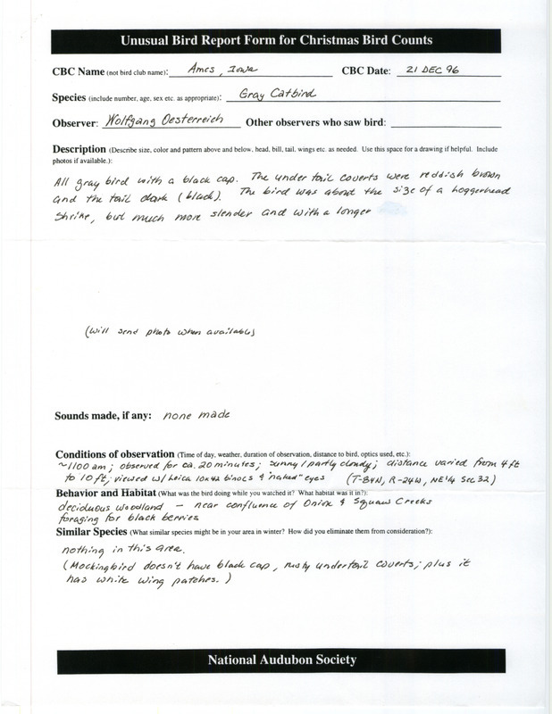 Rare bird documentation form for a Gray Catbird at Ames in Story County, IA on December 21, 1996.