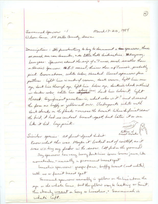 Rare bird documentation form for a Savannah Sparrow at Anderson Township in Mills County, IA from March 17-20, 1984.