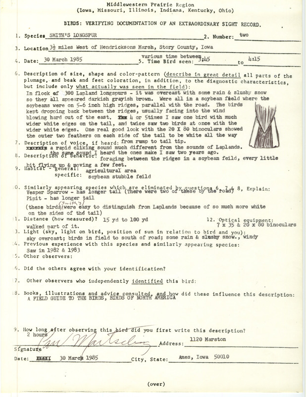 Rare bird documentation form for two Smith's Longspurs west of Hendrickson March in Story County, IA on March 30, 1985.