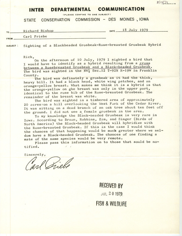 Rare bird documentation memo for a Black-headed Grosbeak and Rose-breasted Grosbeak hybrid at Ingham Township in Franklin County, IA on July 10, 1979.