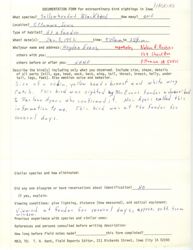 Rare bird documentation form for a Yellow-headed Blackbird at Ottumwa in Wapello County, IA on January 3, 1982.