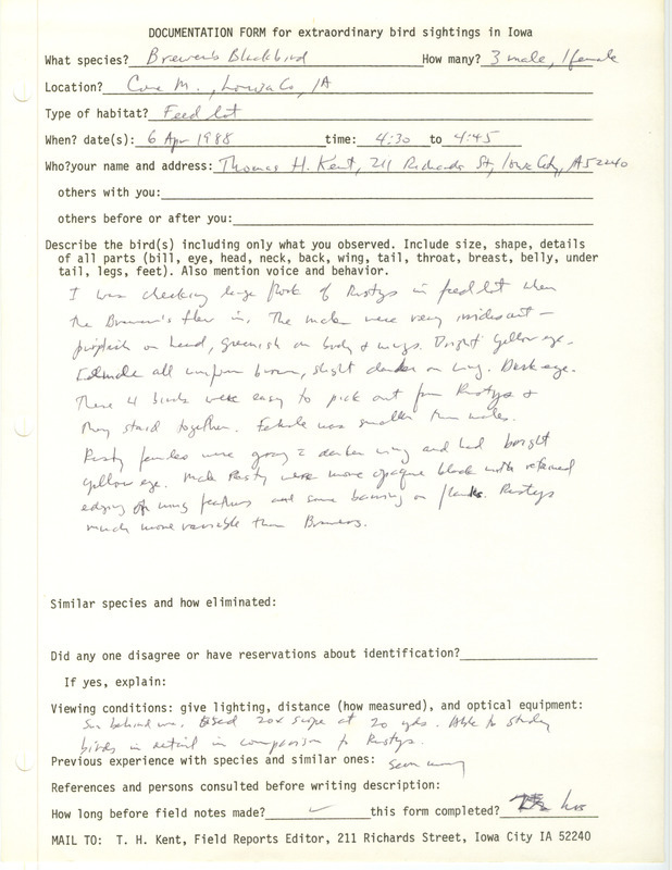 Rare bird documentation form for four Brewer's Blackbirds at Cone March in Louisa County, IA on April 6, 1988.