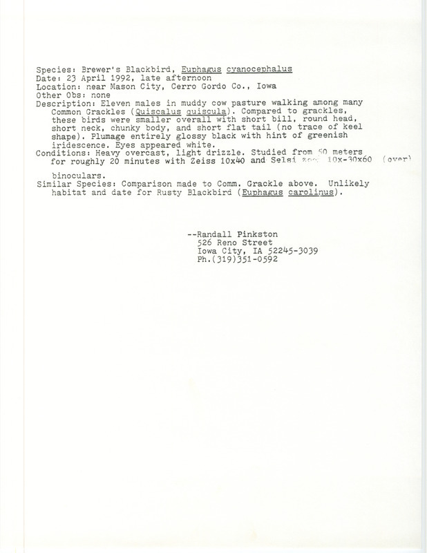 Rare bird documentation form for eleven Brewer's Blackbirds near Mason City in Cerro Gordo County, IA on April 23, 1992.