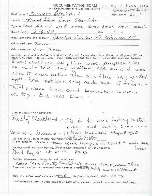 Rare bird documentation form for at most sixty Brewer's Blackbirds at Clear Lake in Cerro Gordo County, IA on September 16, 1999.