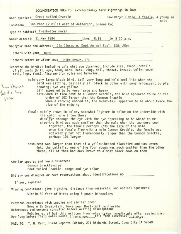 Rare bird documentation form for six Great-tailed Grackles at Finn Pond in Greene County, IA on May 31, 1984.