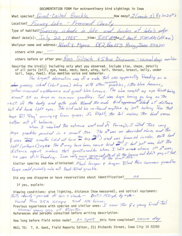 Rare bird documentation form for two to three Great-tailed Grackles at Forney's Lake in Fremont County, IA on July 22, 1985.