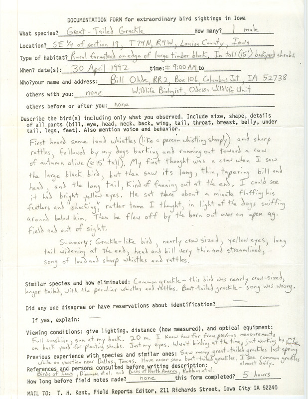 Rare bird documentation form for a Great-tailed Grackle at Wapello Township in Louisa County, IA on April 30, 1992.