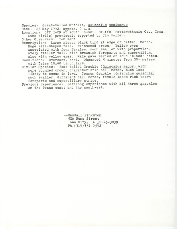 Rare bird documentation form for a Great-tailed Grackle south of Council Bluffs in Pottawattamie County, IA on May 23, 1992.