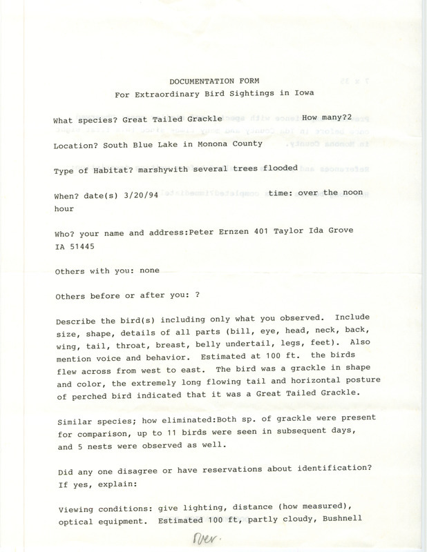 Rare bird documentation form for two Great-tailed Grackles at Blue Lake in Monona County, IA on March 20, 1994.