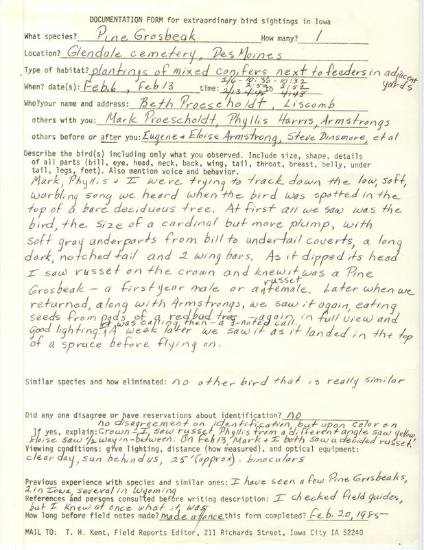 Rare bird documentation for a Pine Grosbeak at Glendale Cemetery in Des Moines in Polk County, IA on February 6 and 13, 1985.