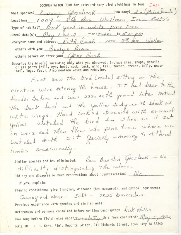 Rare bird documentation form for two Evening Grosbeaks at Wellman in Washington County, IA on May 1 and 2, 1982.