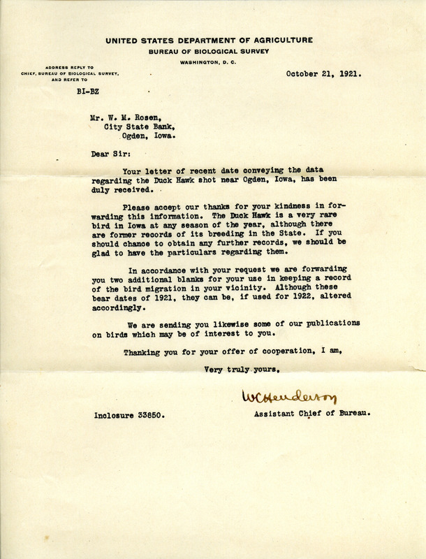 Letter from Walter C. Henderson to Walter Rosene regarding a Duck Hawk shot near Ogden, October 21, 1921. The letter also includes a request from Henderson for further records on the breeding of Duck Hawks in Iowa if Rosene is able to obtain more information.