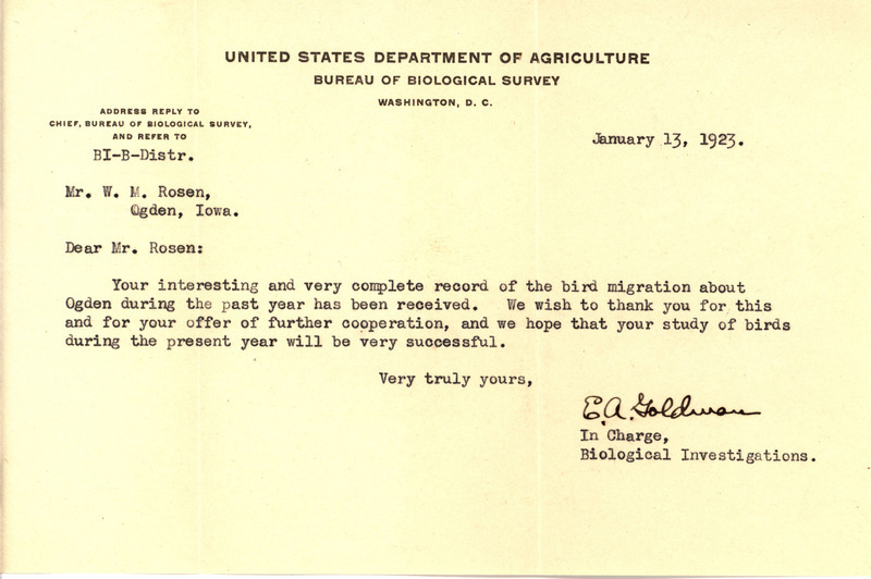 Letter from Edward Alphonso Goldman to Walter Rosene regarding the receipt of the 1922 bird migration report from Ogden, January 13, 1923. Goldman also wishes Rosene a successful bird study during the upcoming year.